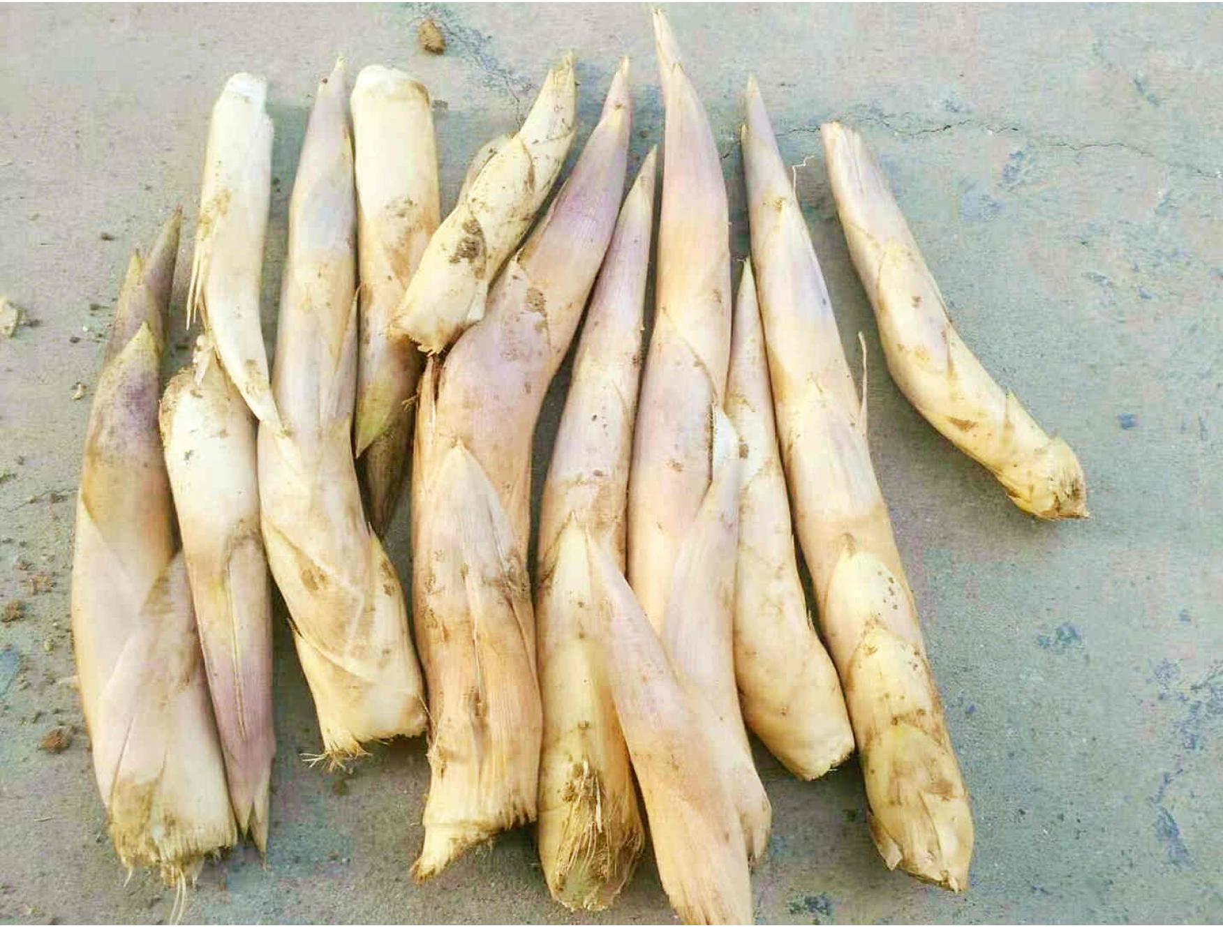 新鲜笋时令鞭笋