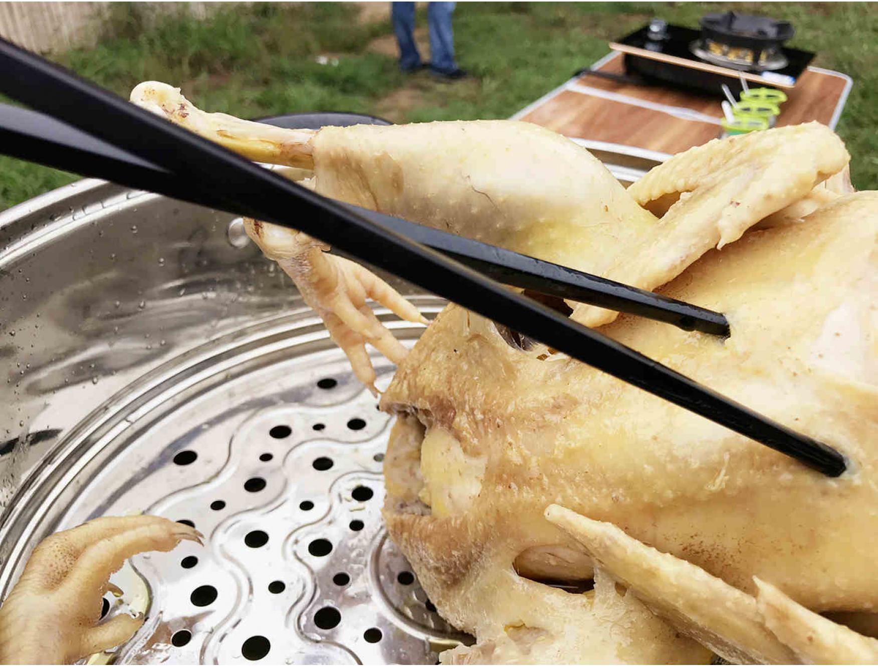 农民散养老母鸡