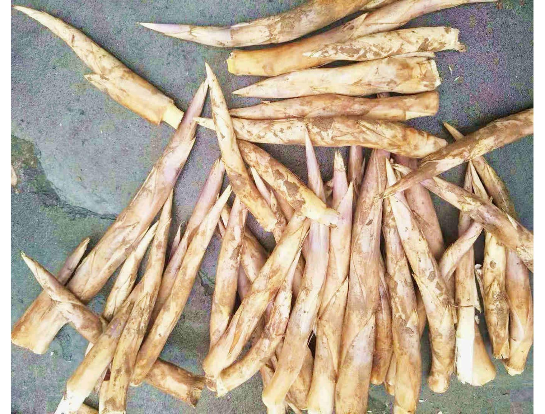 新鲜笋时令鞭笋