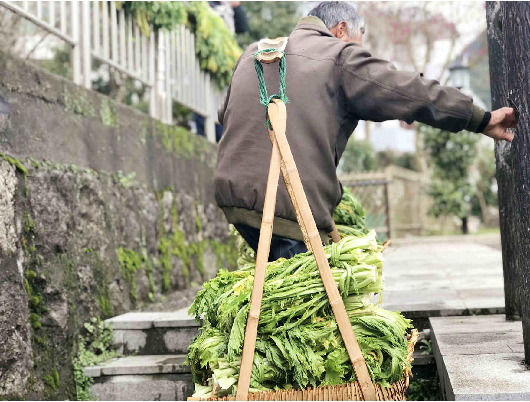 农户纯手工手捏菜一瓶