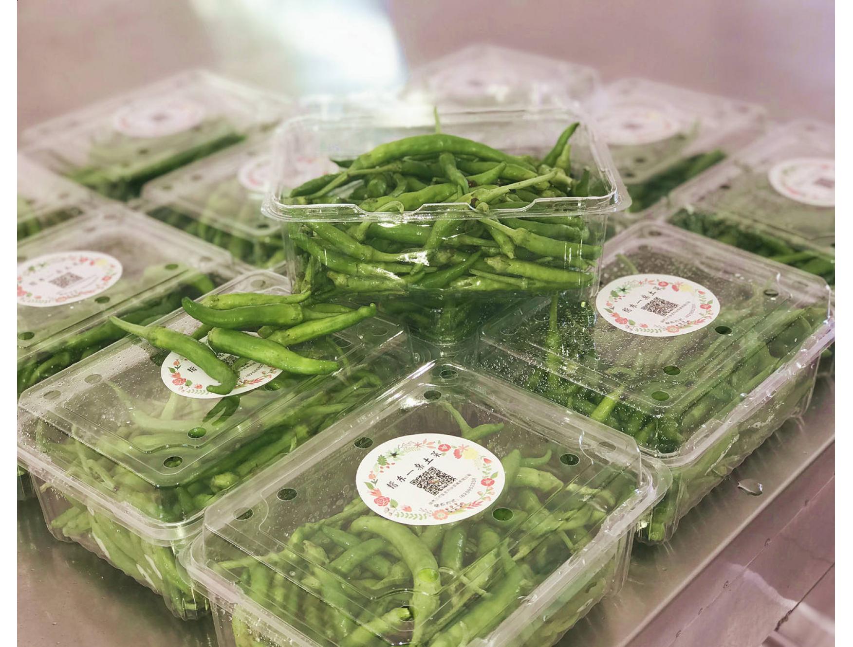 自种新鲜蔬菜小辣椒