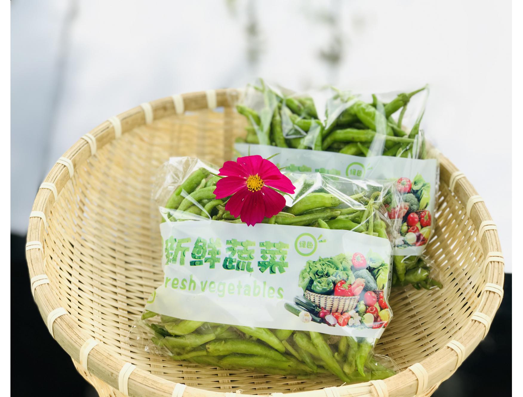 自种新鲜蔬菜小辣椒