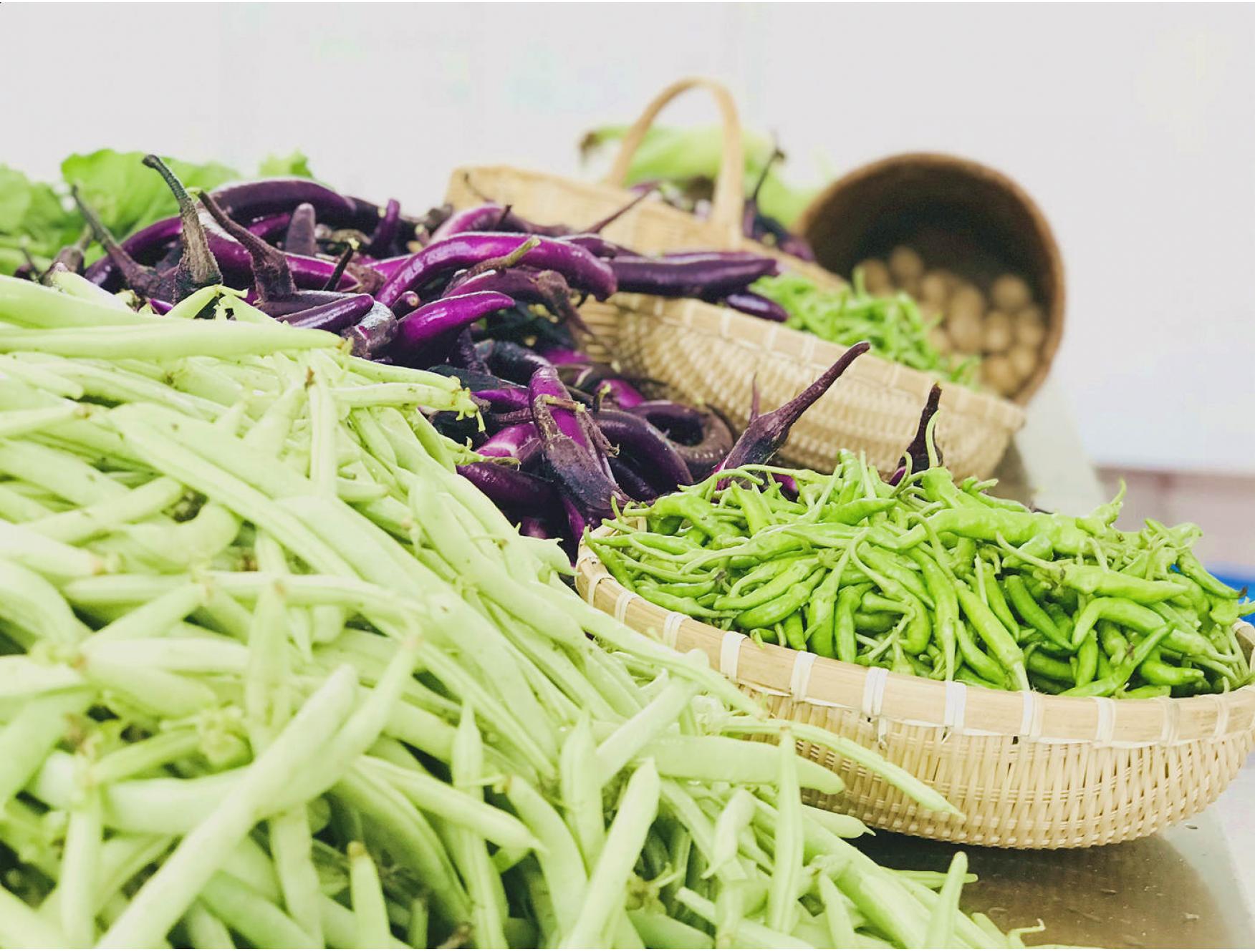 稽东一桌土菜礼盒标准版