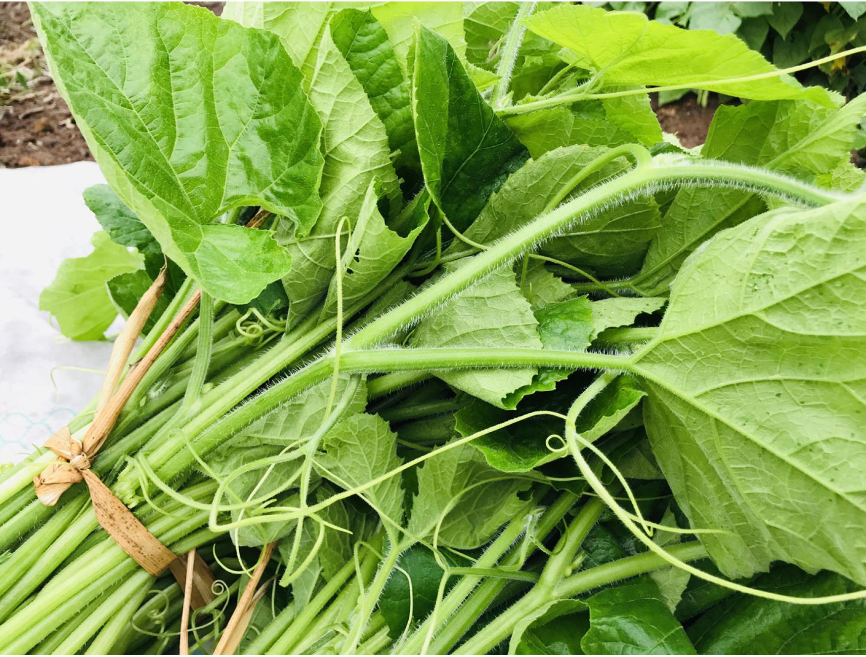 稽东一桌土菜礼盒标准版