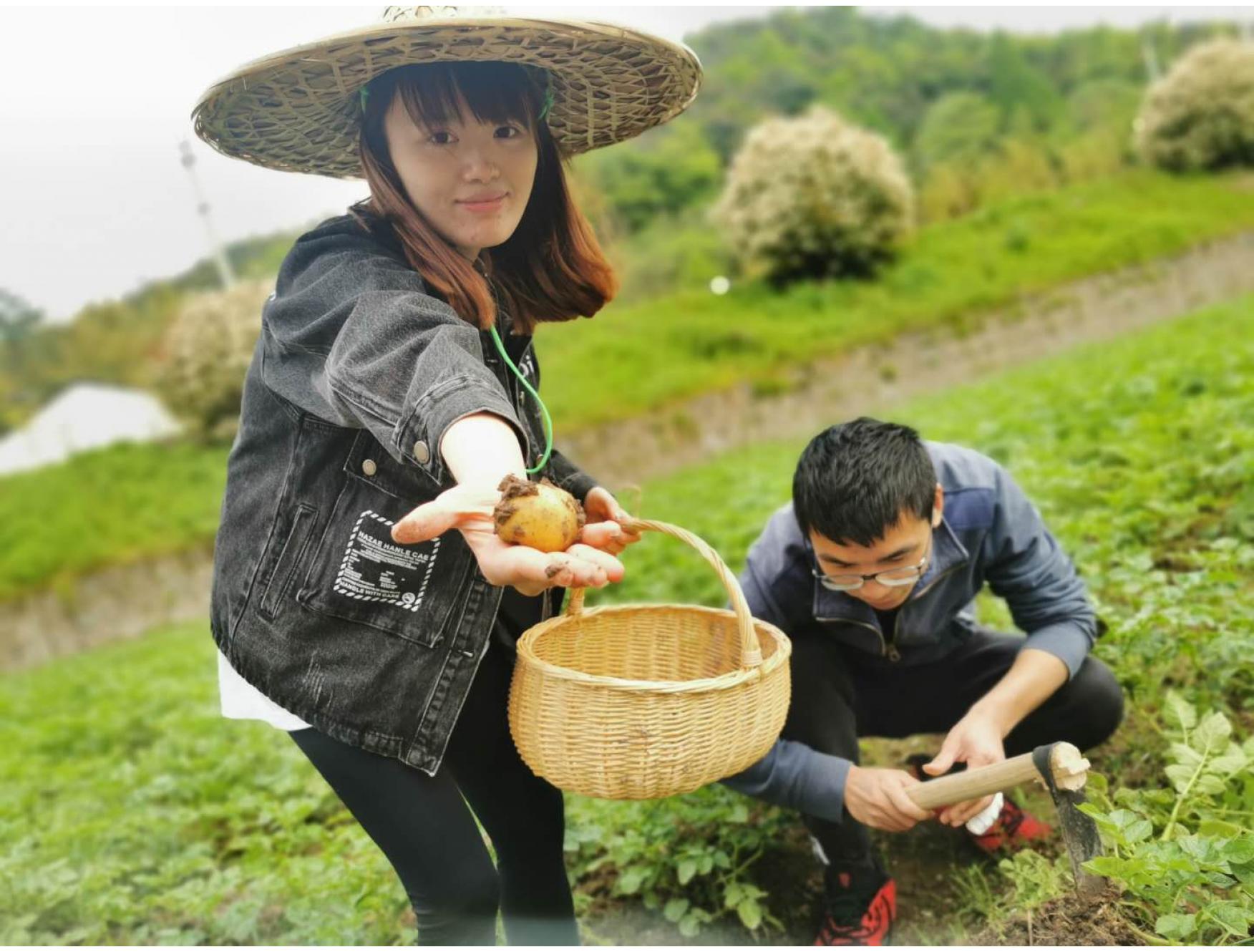 自留地：全托模式