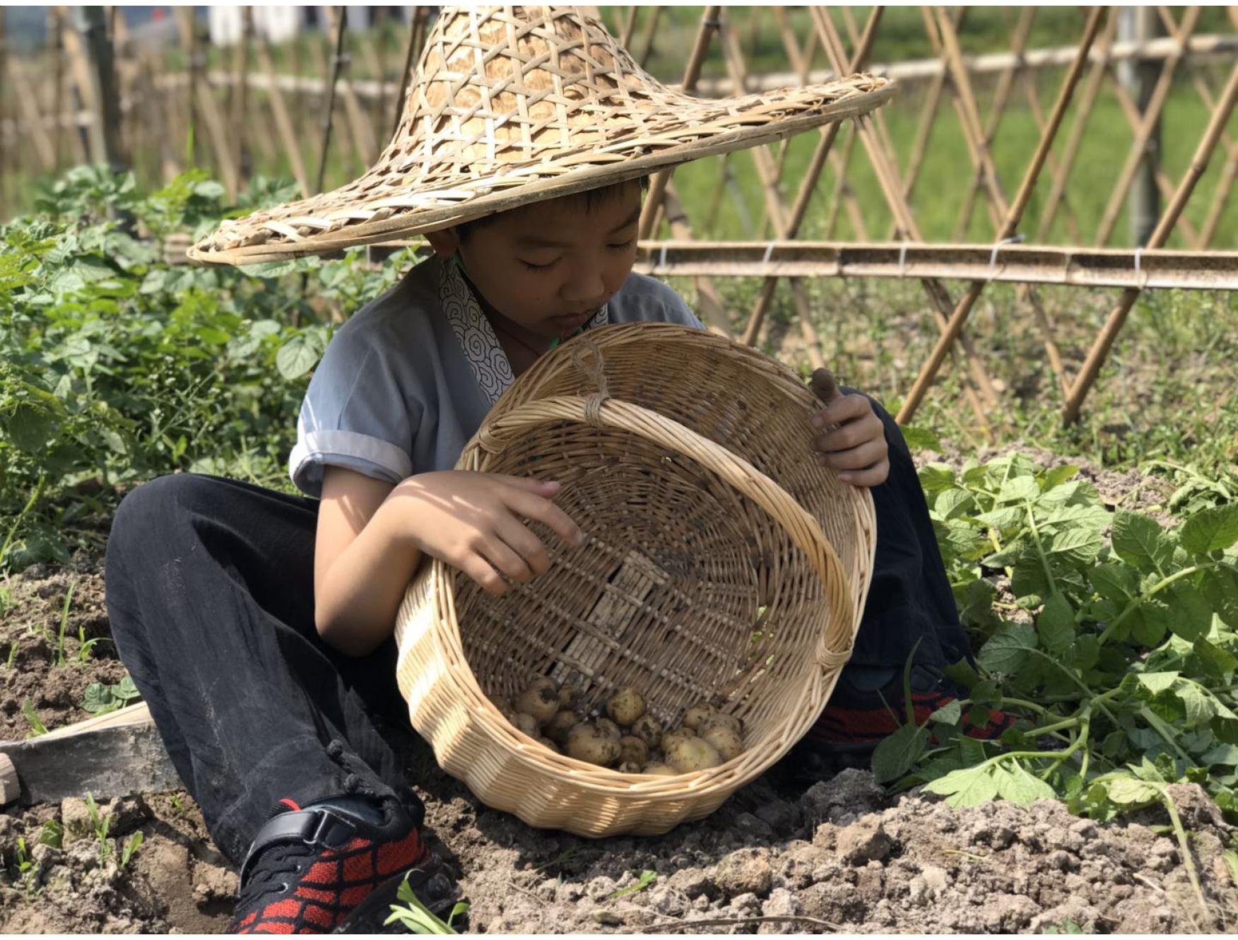 自留地：全托模式