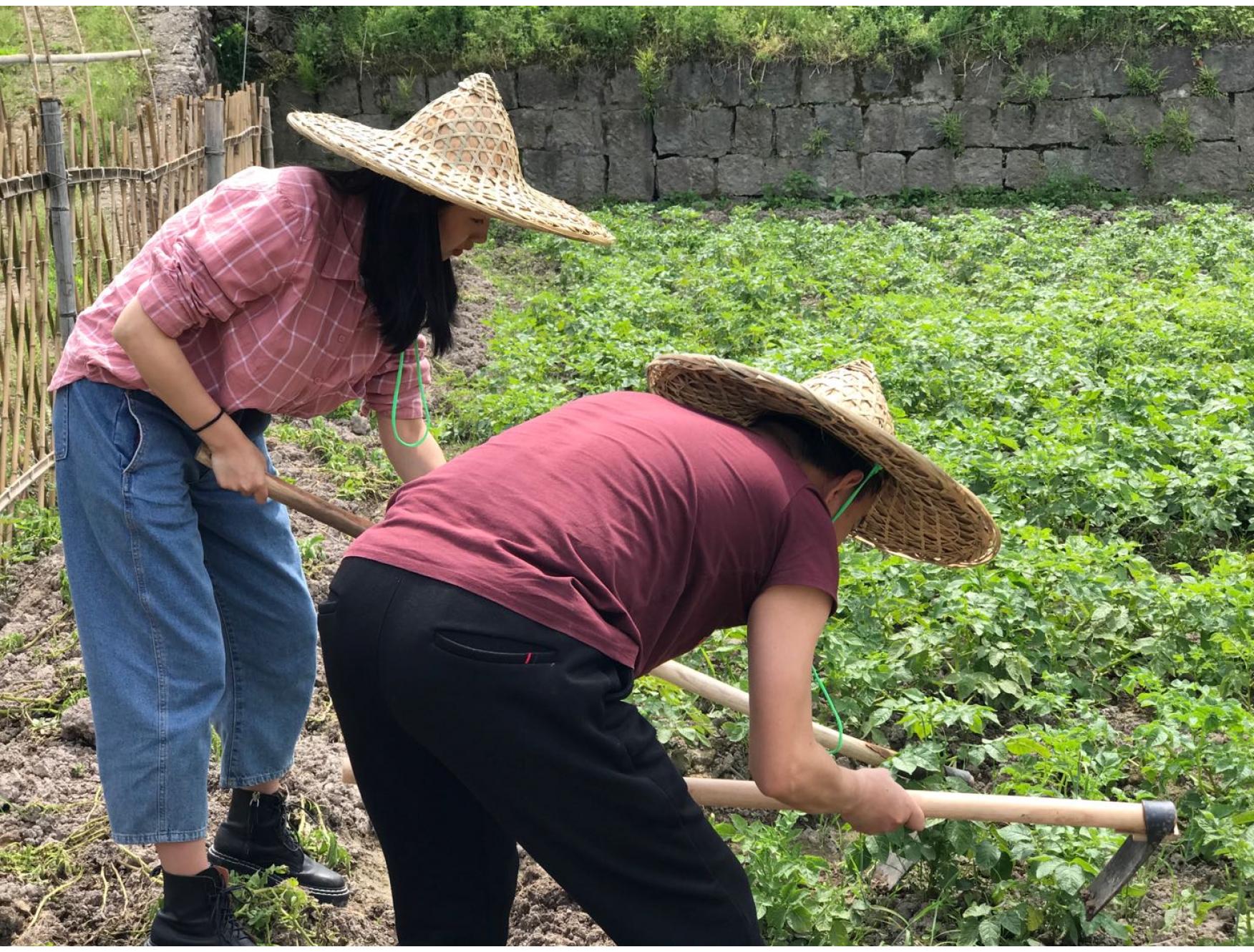 自留地：半托模式