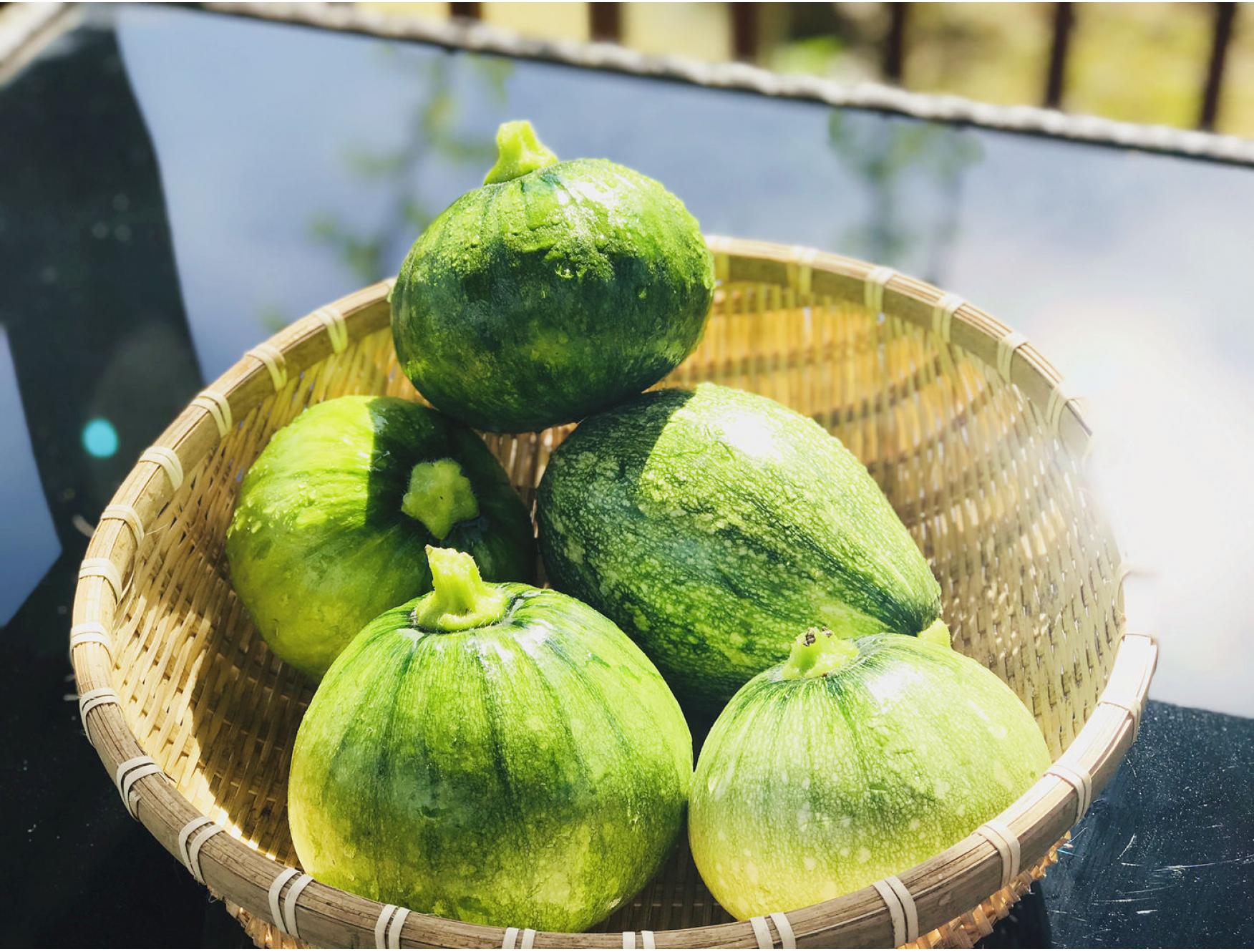 自种嫩南瓜一个