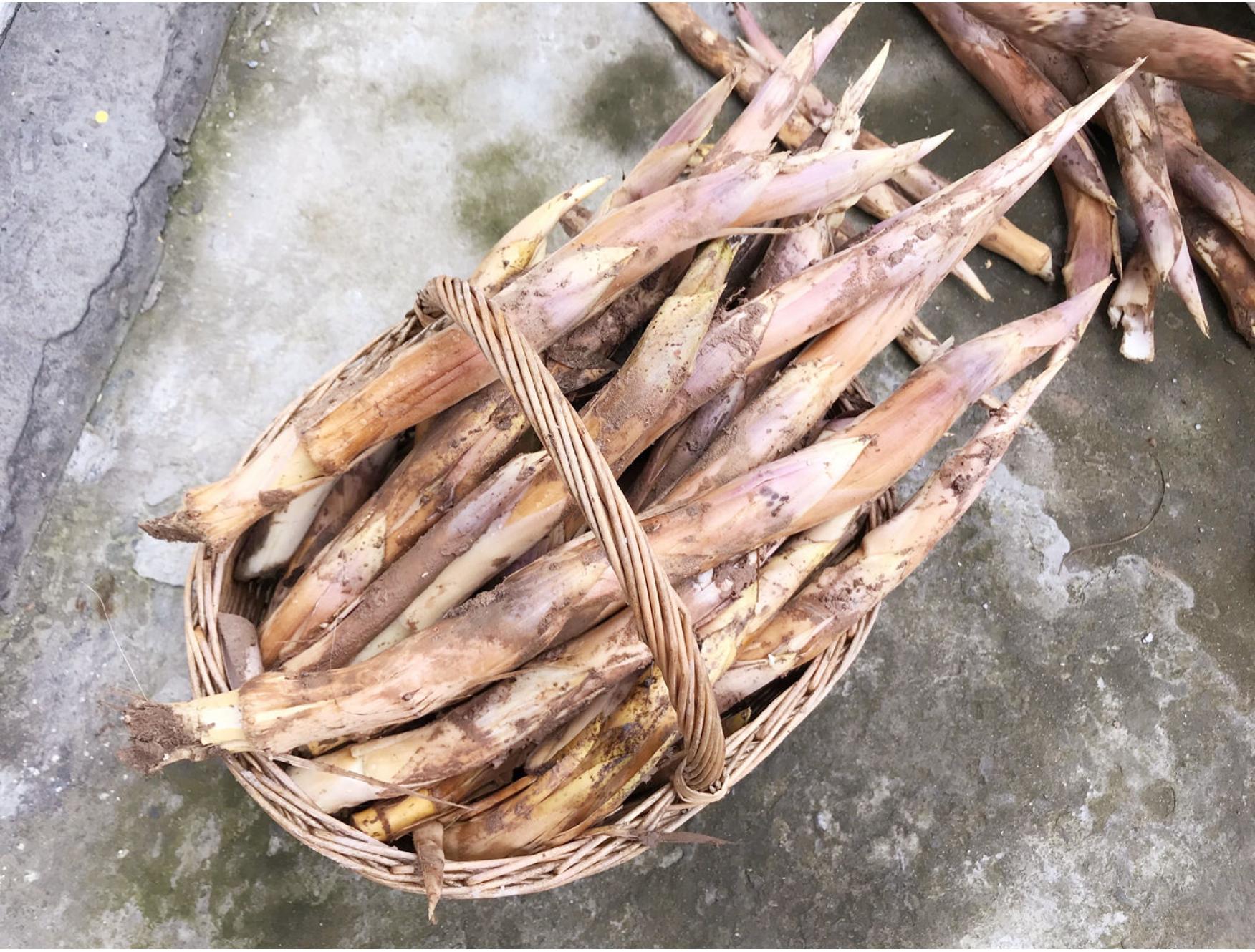 新鲜笋时令鞭笋