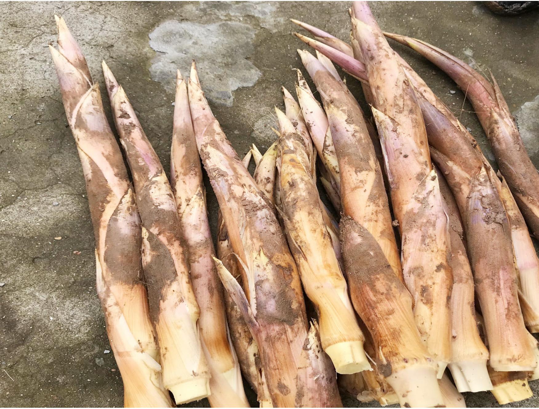 新鲜笋时令鞭笋