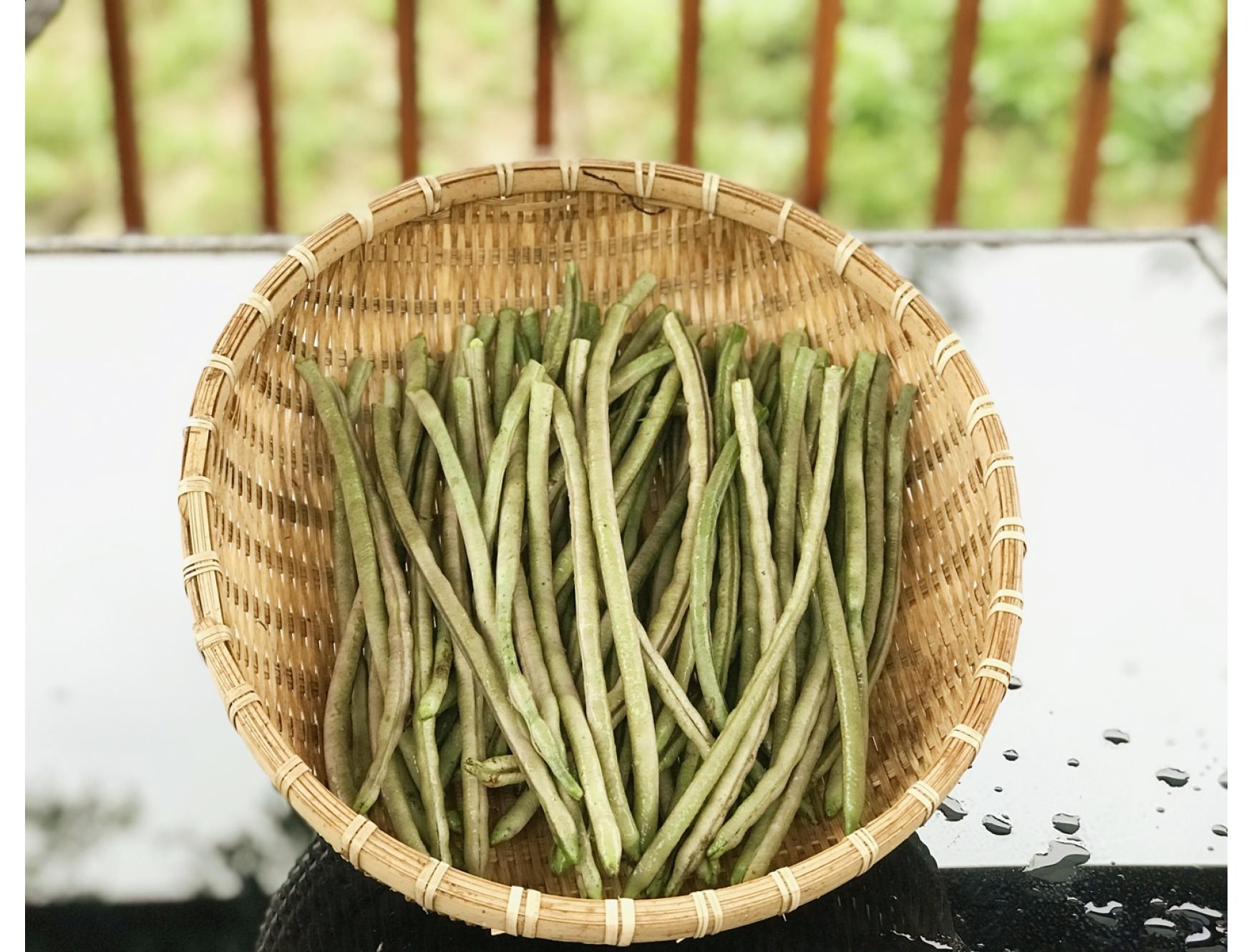 农家自种秋豇豆